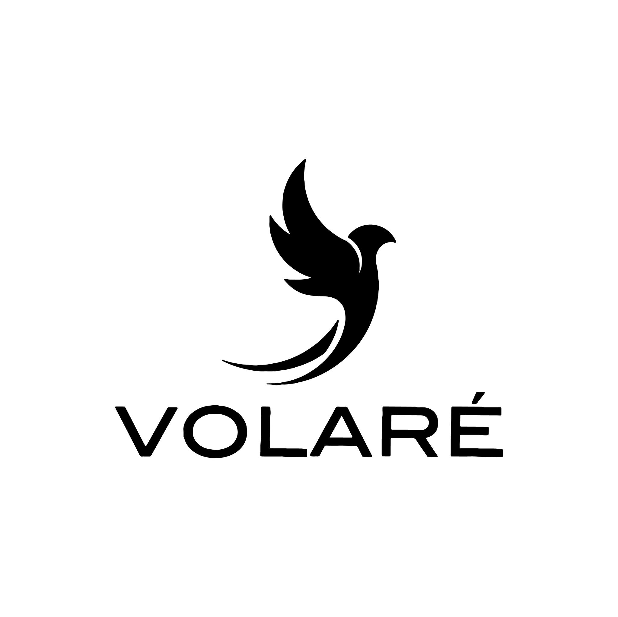 Logo de VOLARE