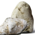 Ámbar gris