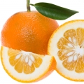 Naranja Amarga
