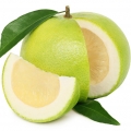 toronja (pomelo)