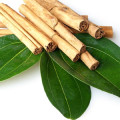 Hoja de canela