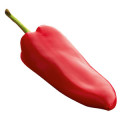 Pimiento