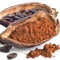 Vaina de cacao