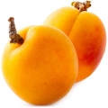 Albaricoque