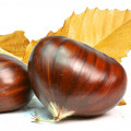 Castaña