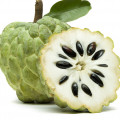 Chirimoya