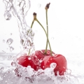 Fruta acuática