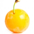 Mirabel