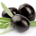 Olivo