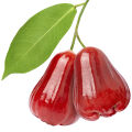 Pomarrosa