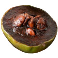 Zapote Negro
