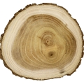 Madera de Guayacán