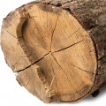 Madera seca