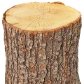 Roble