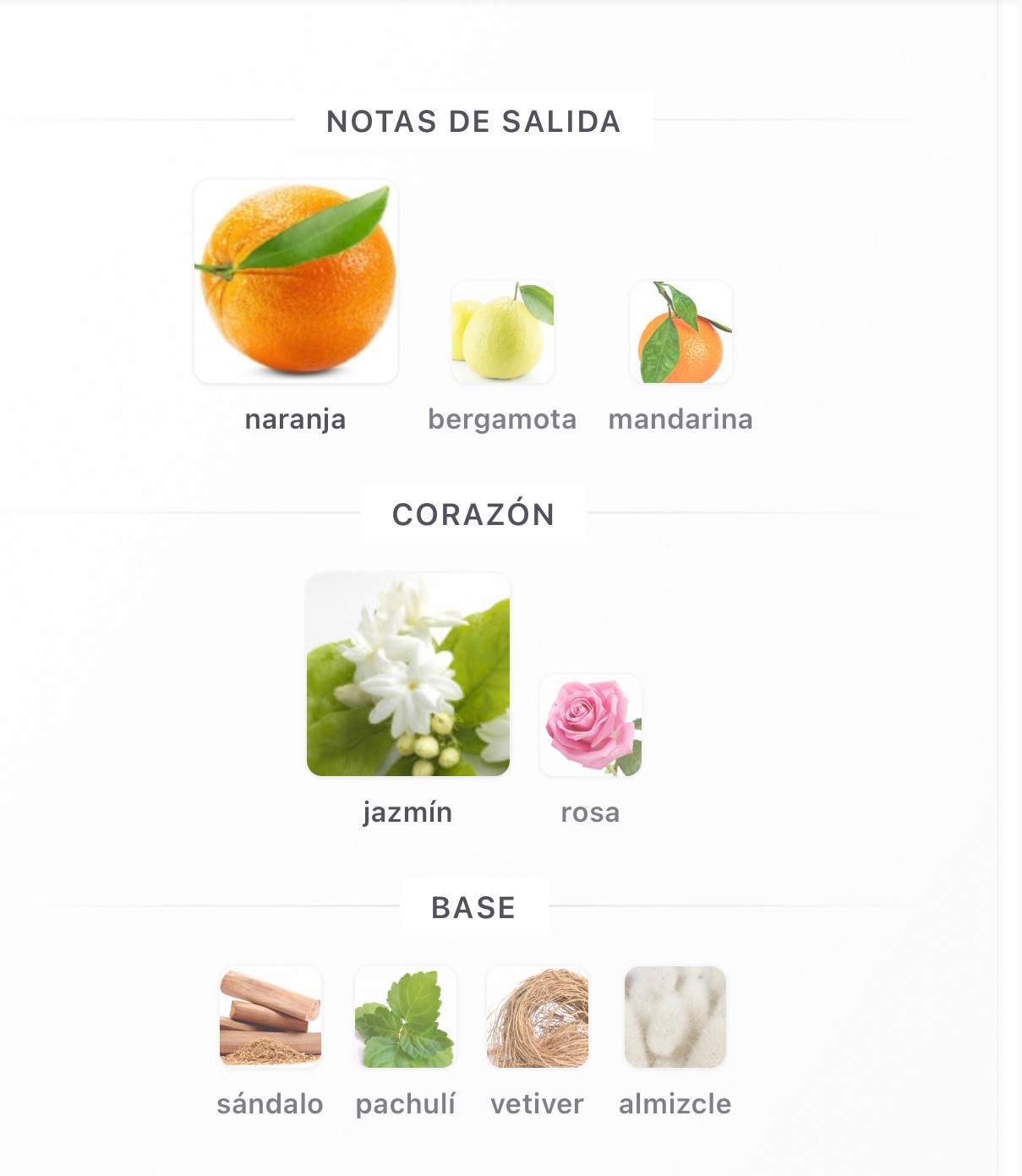 Miniatura de Al Andaaleb Flora
