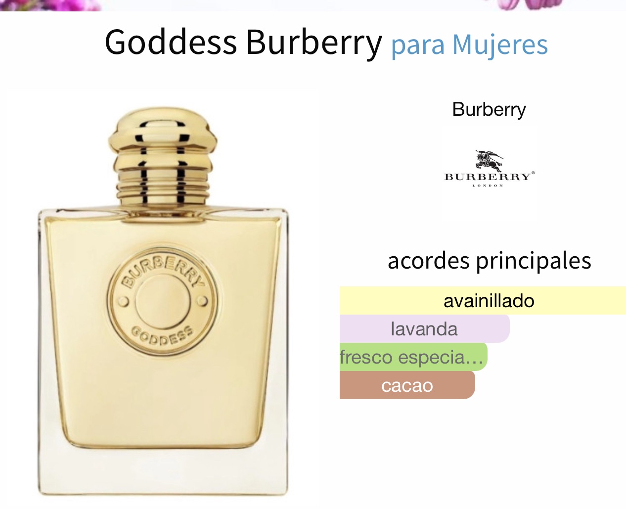 Miniatura de Angham