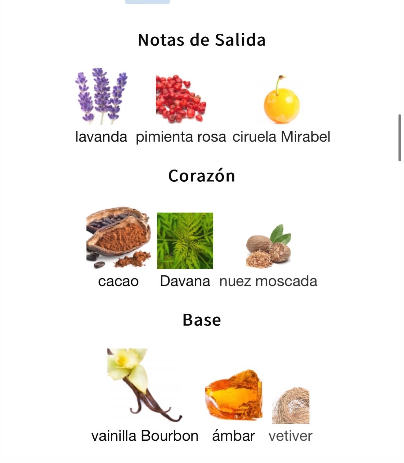 Miniatura de Asad Bourbon