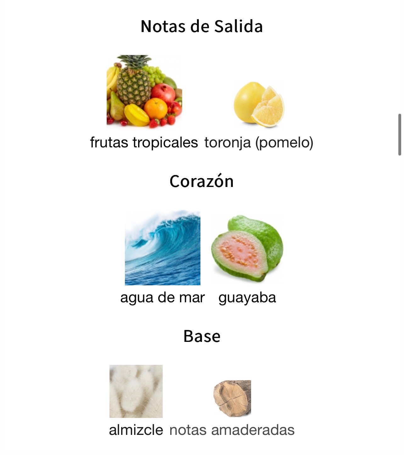 Miniatura de Beach Party