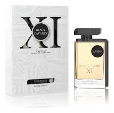 Black Cavalier XI