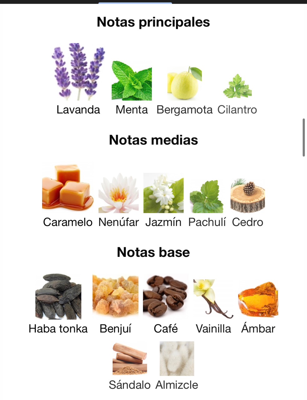 Miniatura de Privilege
