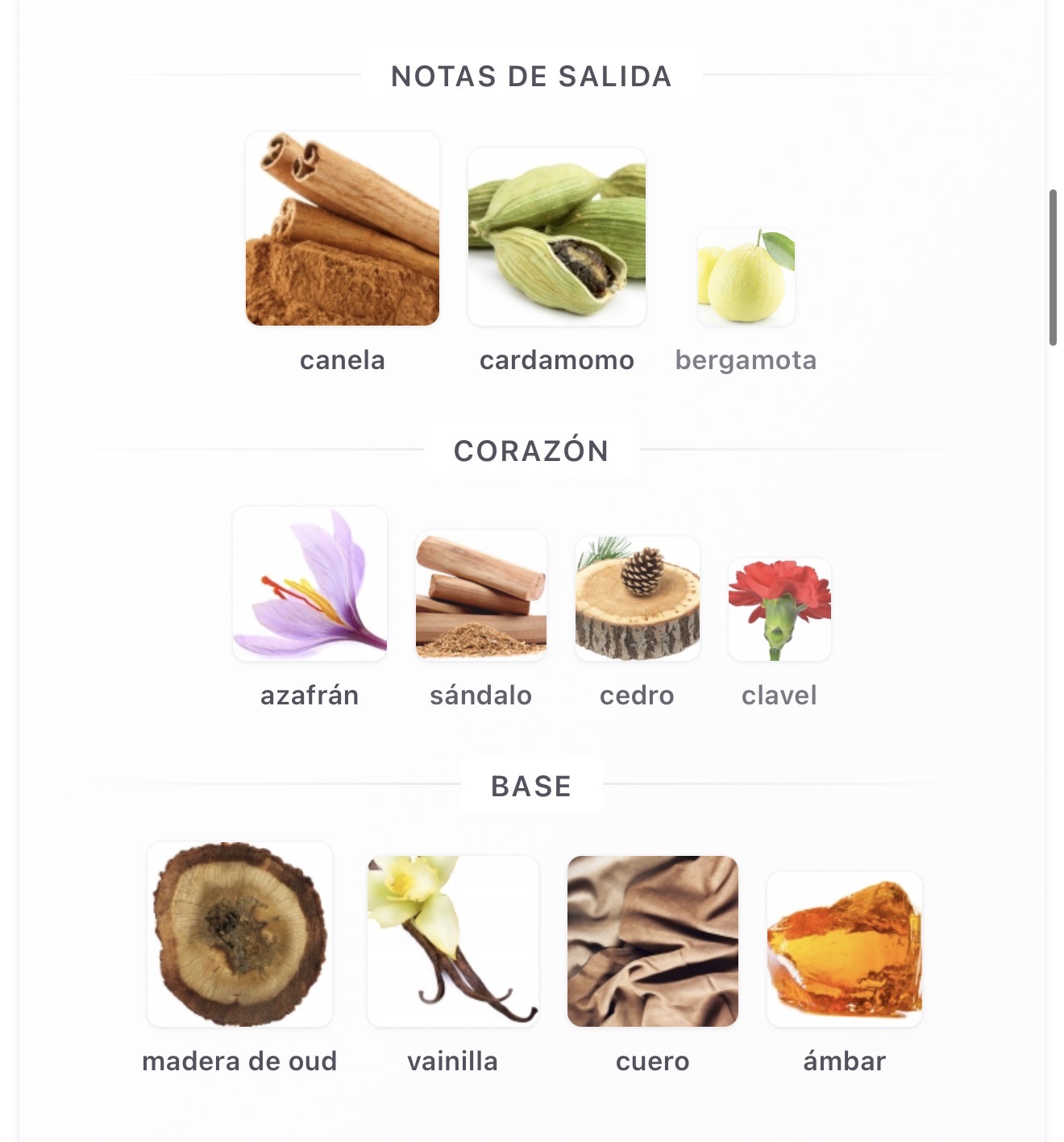 Miniatura de Qaa'ed