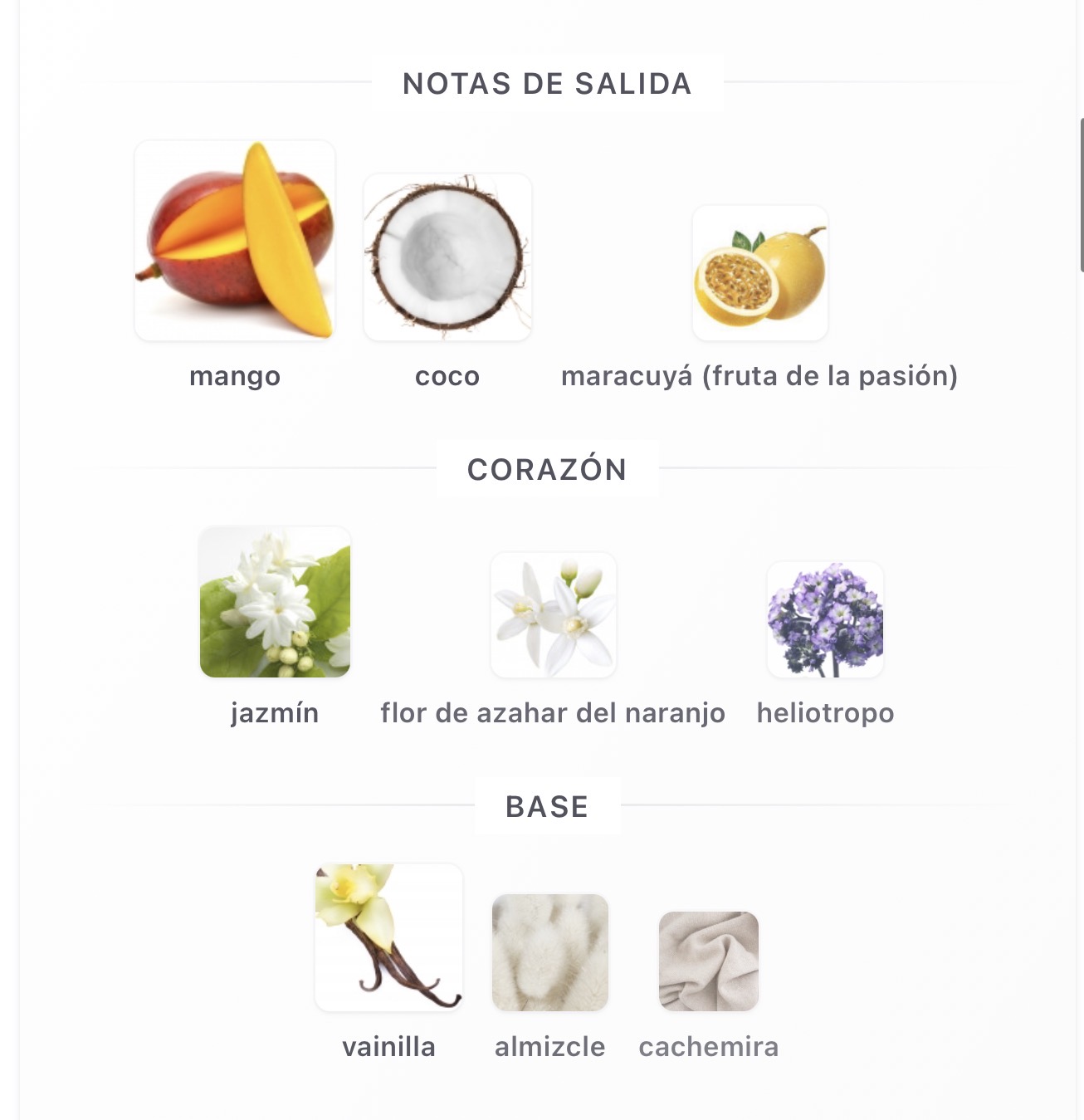 Miniatura de Yara Tous