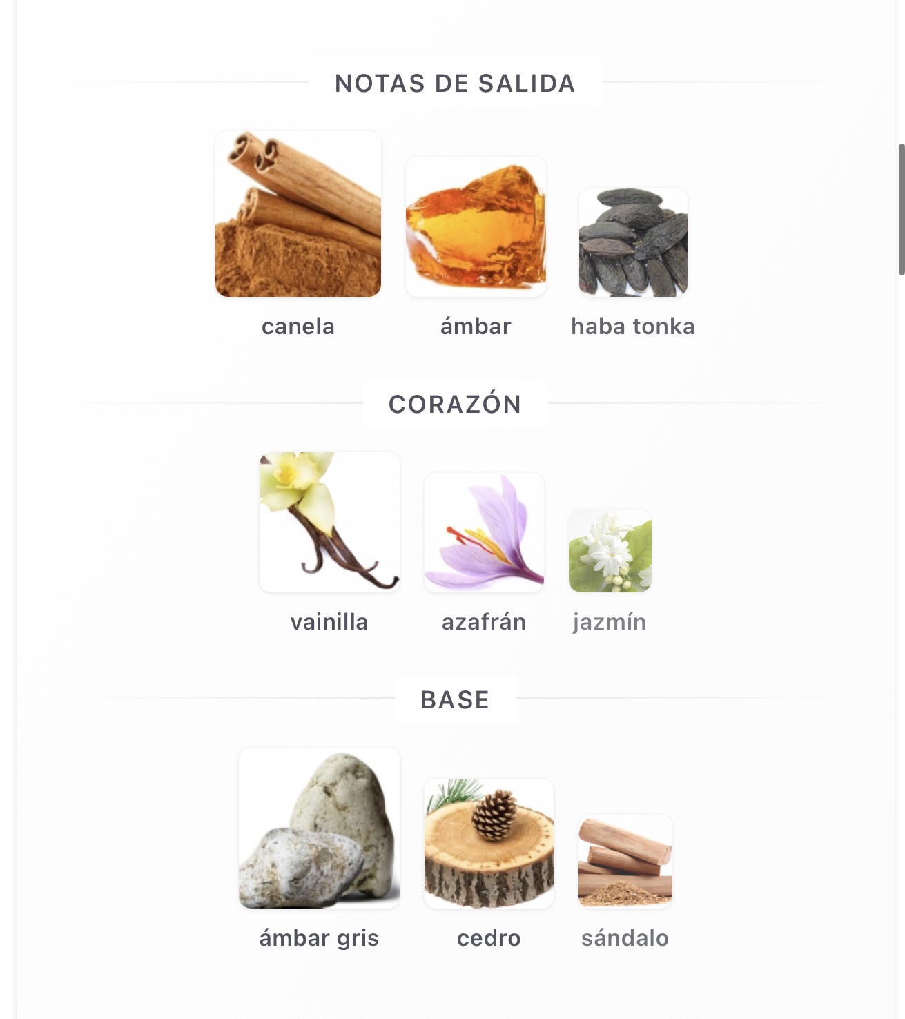 Miniatura de Amberythme