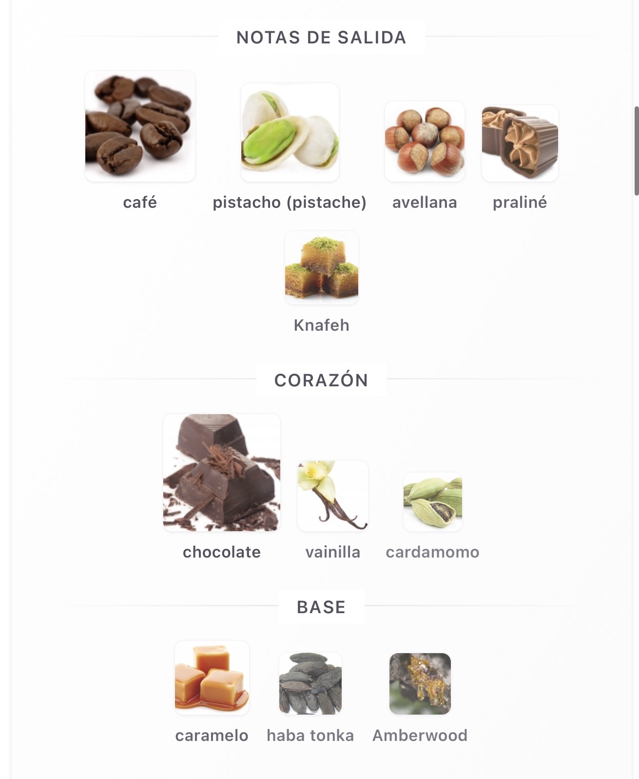 Miniatura de Oddysey Dubai Chocolat