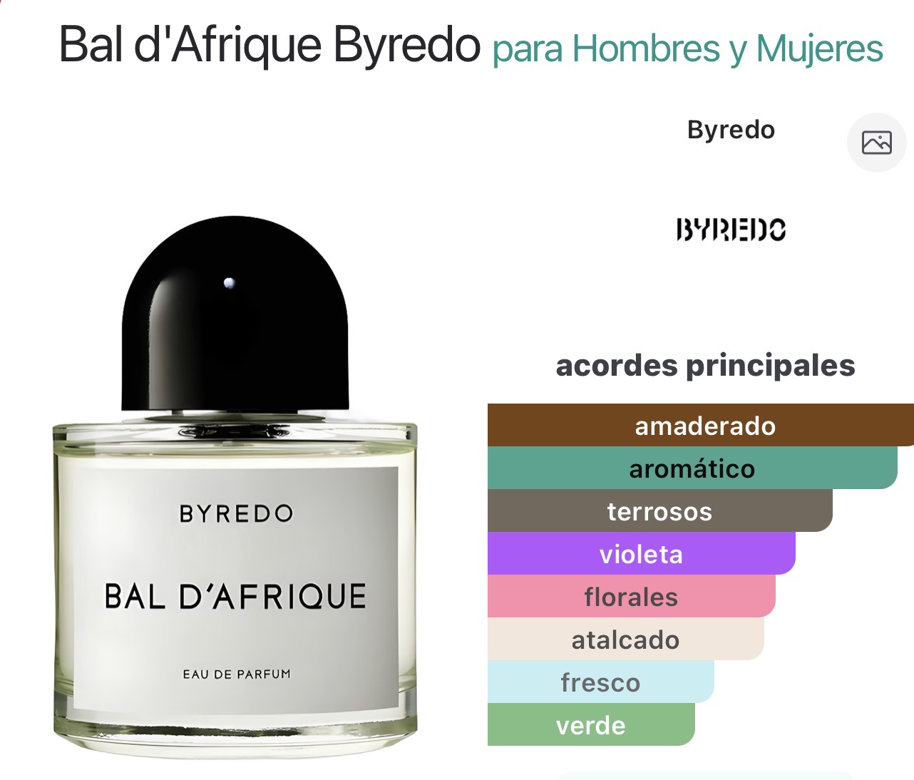 Miniatura de Vibrant Vetiver Delight 