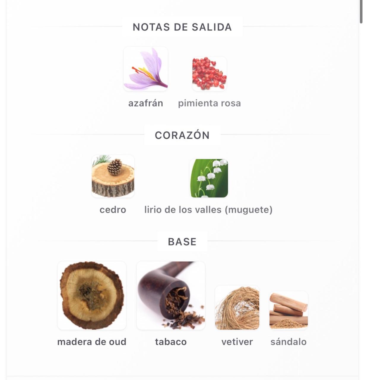 Miniatura de Magical Oud