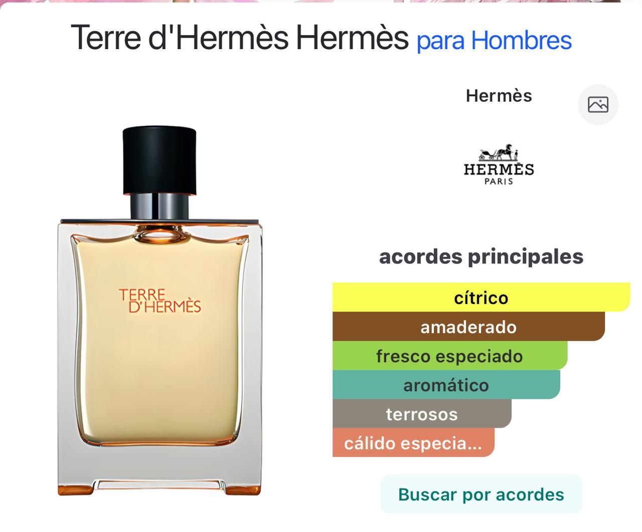 Miniatura de Trance de Homme