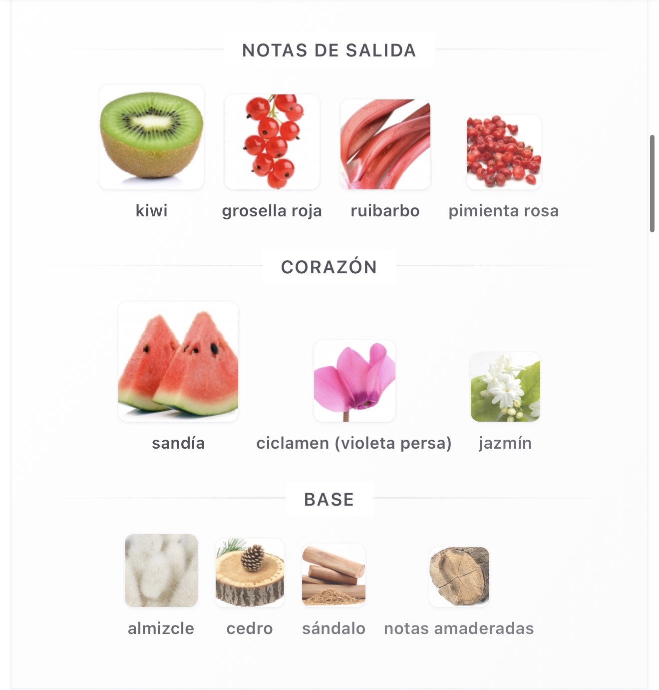 Miniatura de Tamima