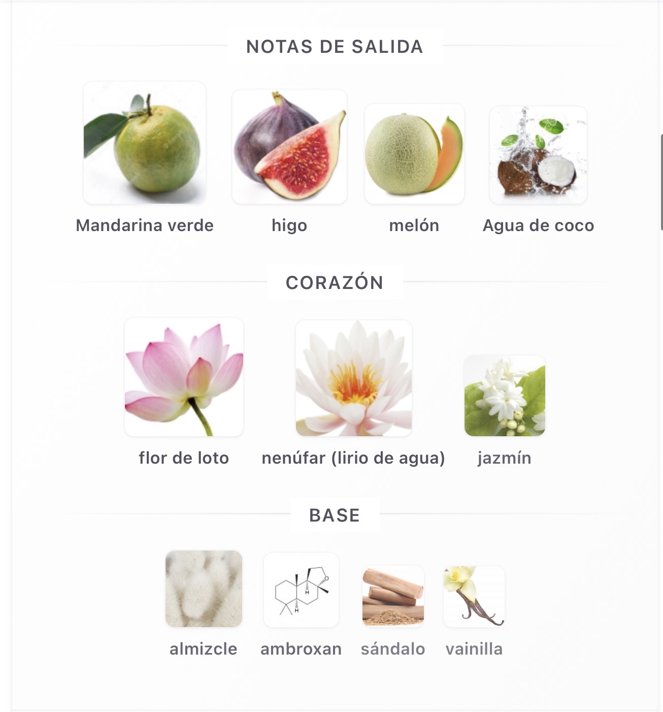 Miniatura de Mayar Natural Intense 