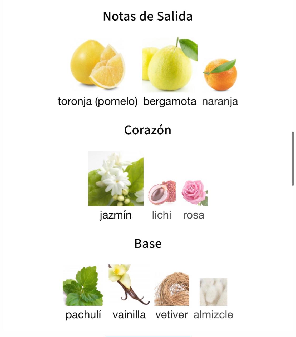 Miniatura de Violetta
