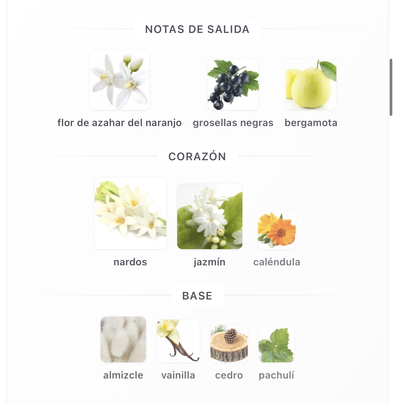 Miniatura de Emaan 