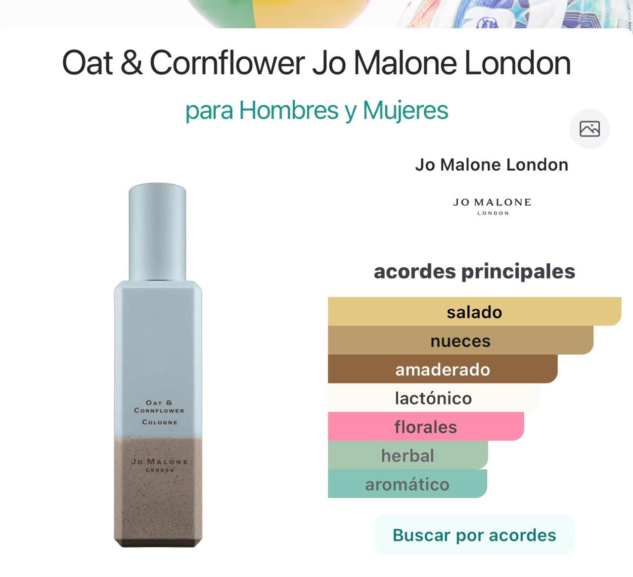 Miniatura de Cornflower Delight