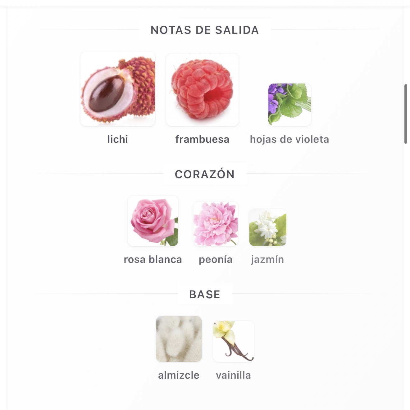Miniatura de Mayar
