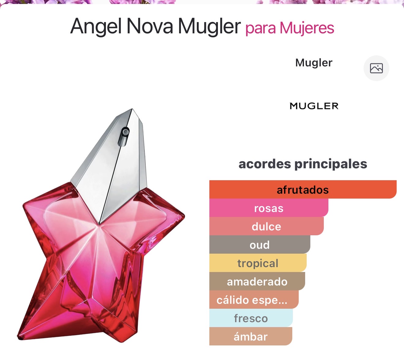 Miniatura de Mayar