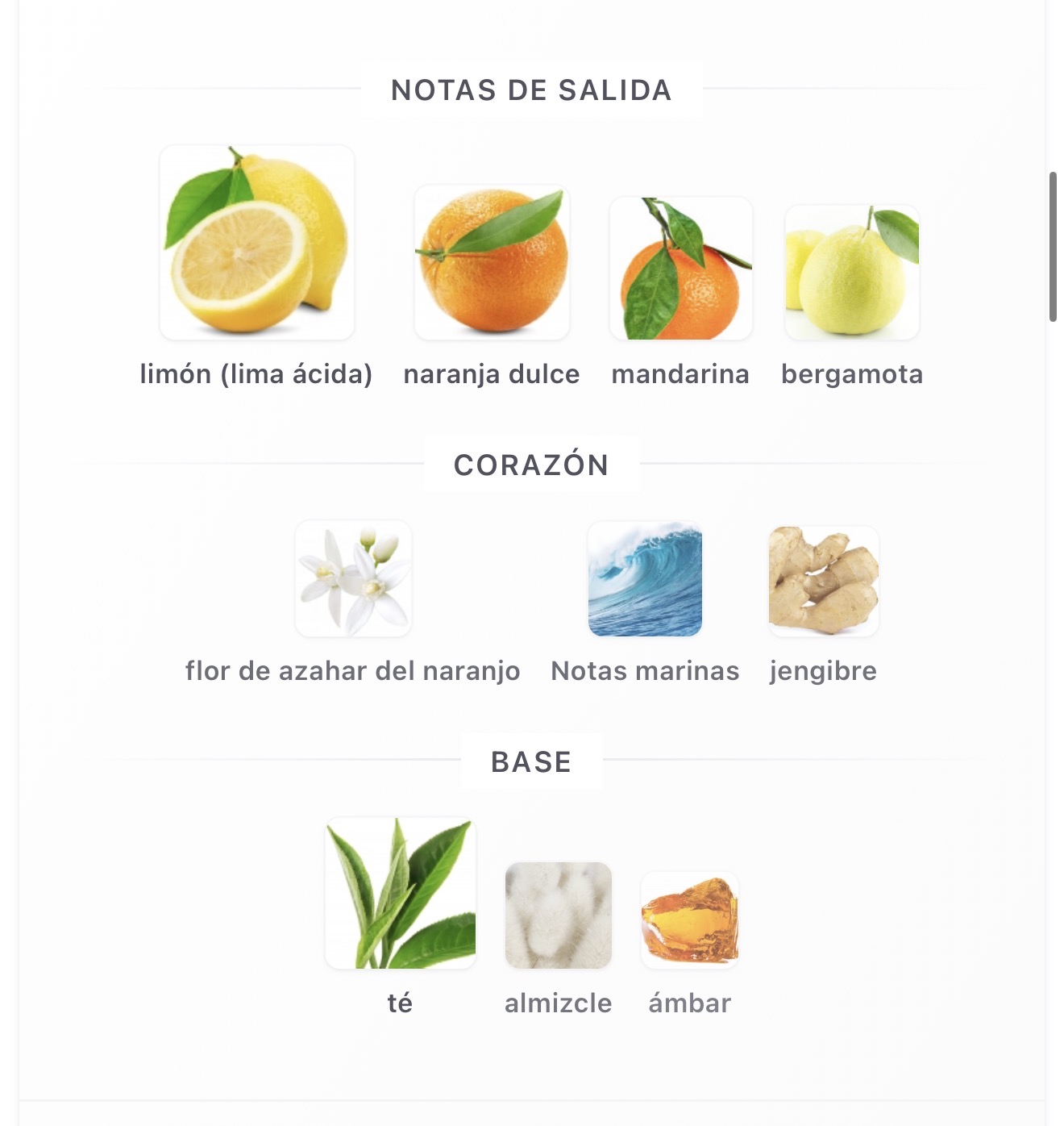 Miniatura de Odyssey Limoni 