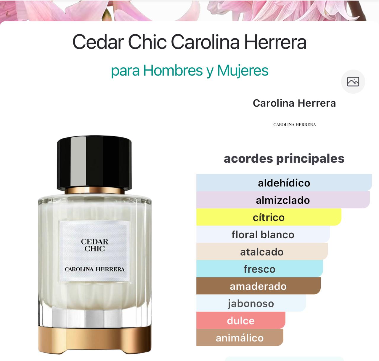 Miniatura de Cedrus Blanc