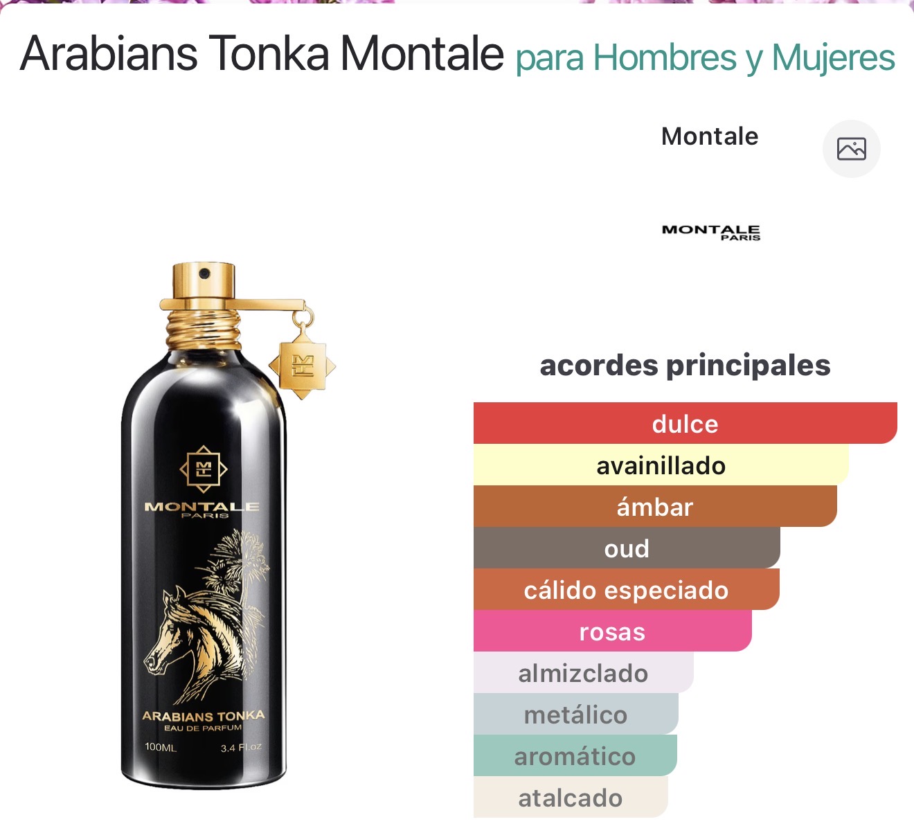 Miniatura de Hikaya 