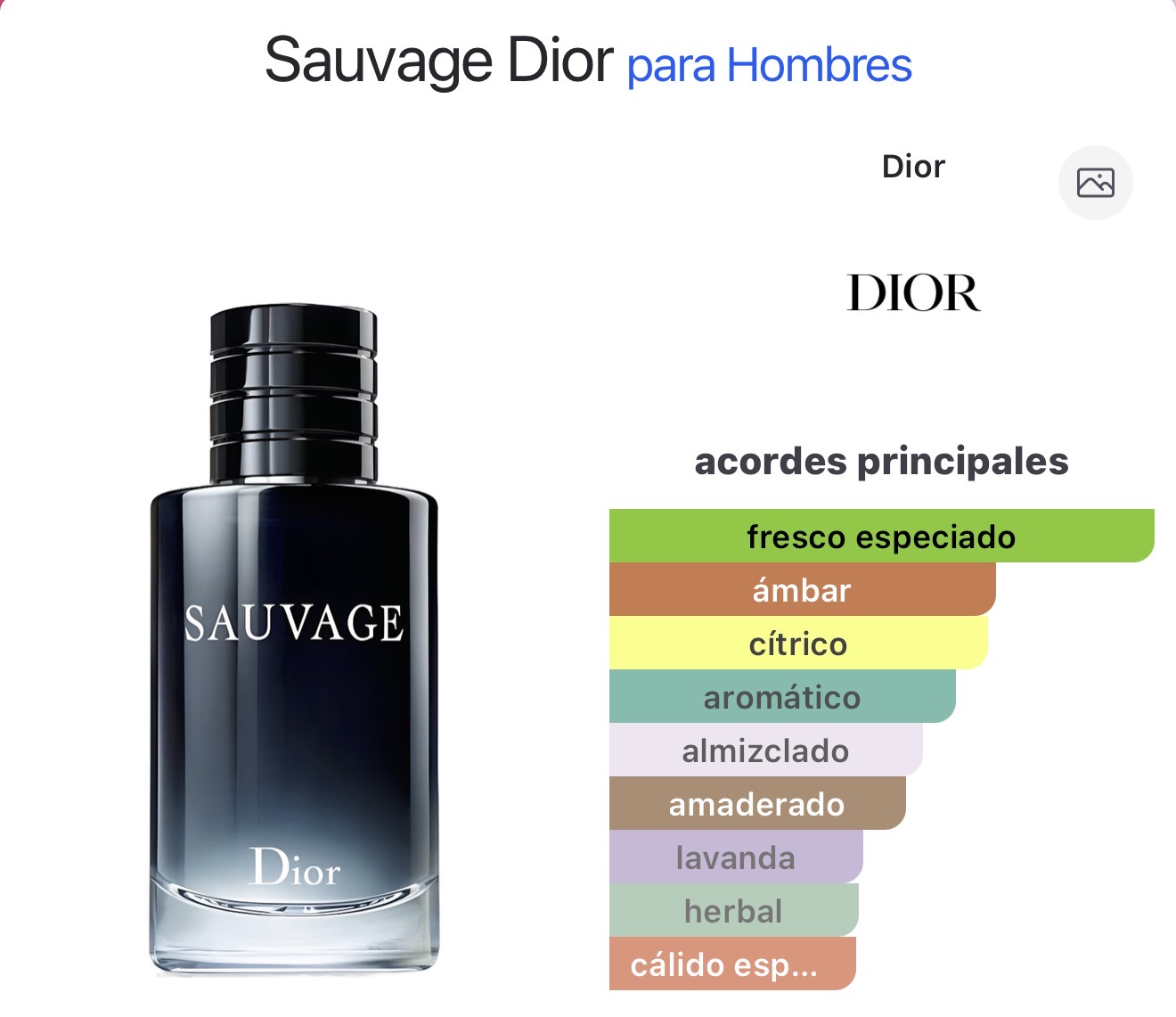 Miniatura de Salvo