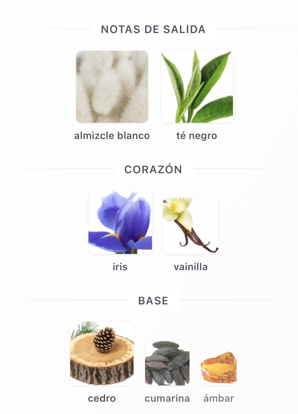 Miniatura de Velvet Musk