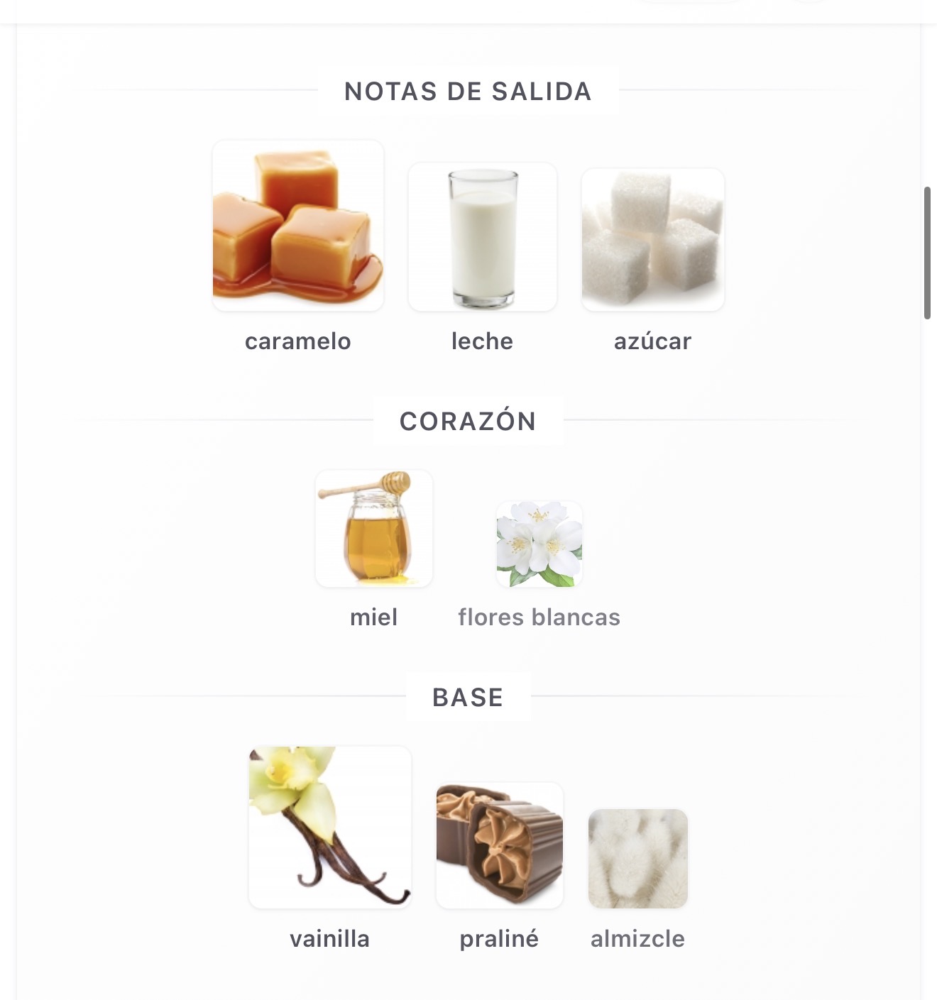 Miniatura de Eclaire