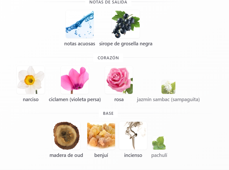Miniatura de The Jewel of Night