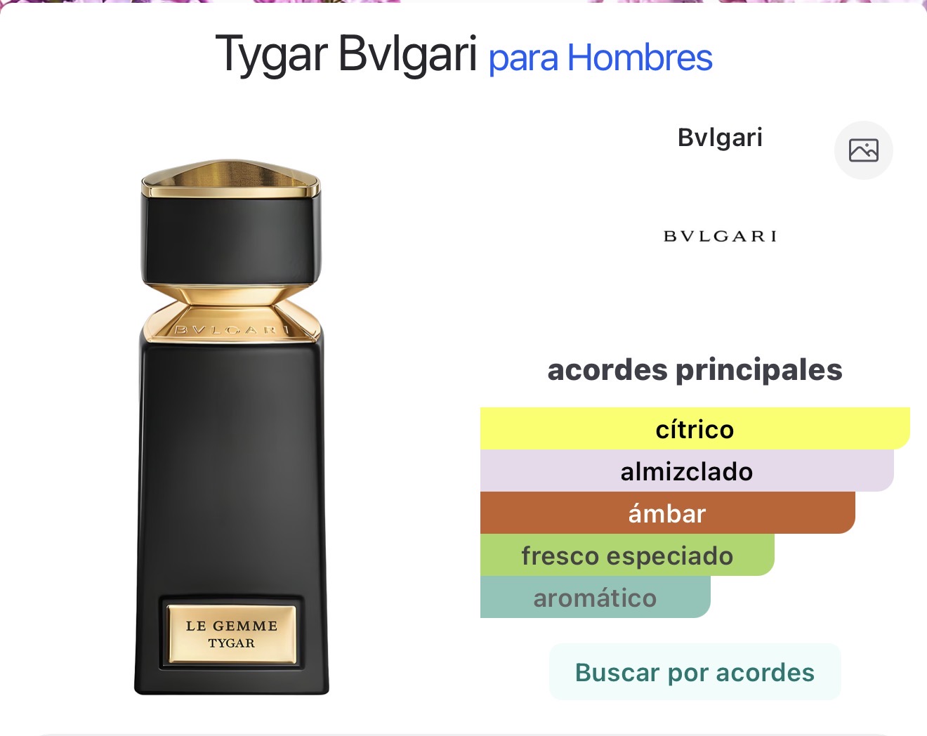 Miniatura de Magesty 