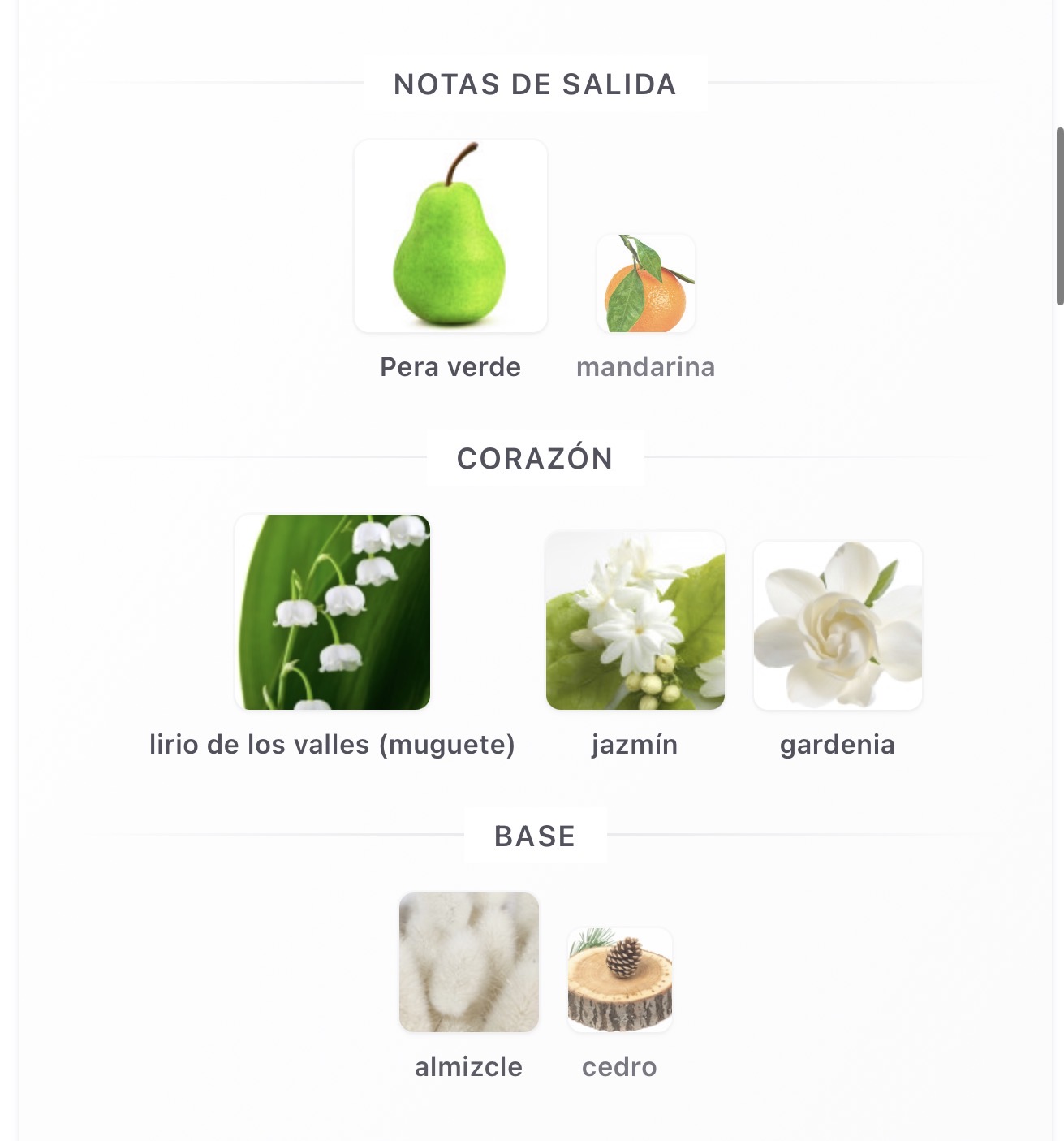 Miniatura de Layaan
