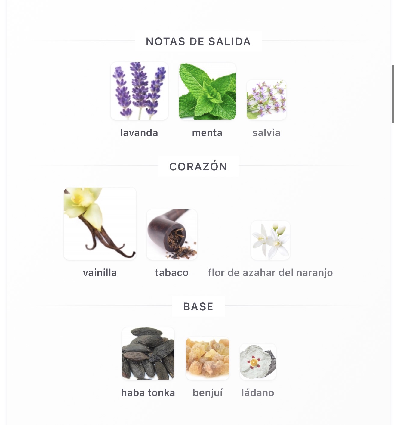 Miniatura de The Kingdom For Men