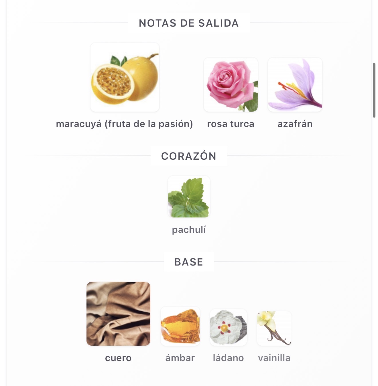 Miniatura de Desert Rose 